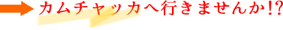 logo/kam3.gif