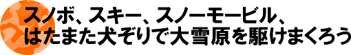 カムチャッカで犬ぞり体験をしよう